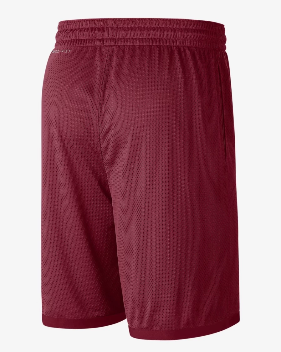 Nike USC Trojans Dri-FIT Men's Team Crimson/University Gold Athletic Shorts