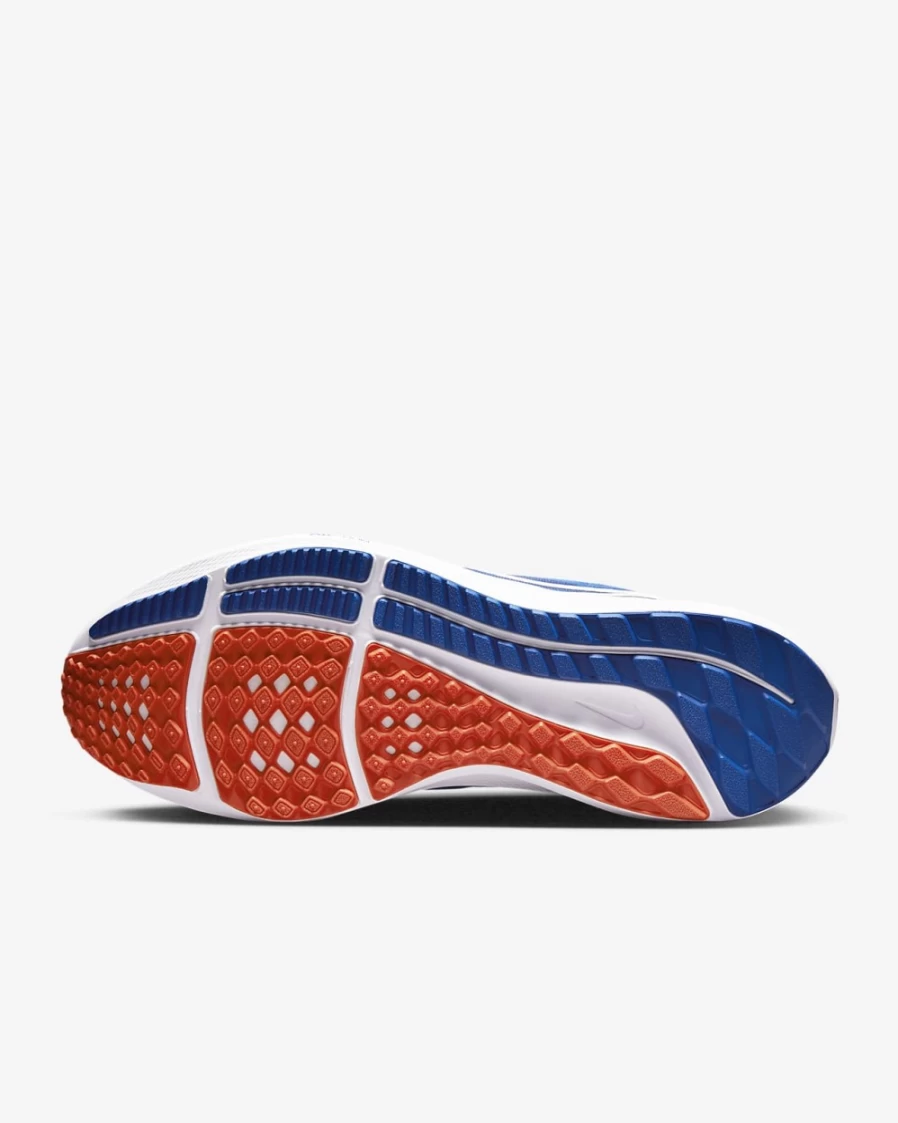 Nike Pegasus 39 Men's Road Running Shoes - Team Royal/University Orange/White - Florida College Edition