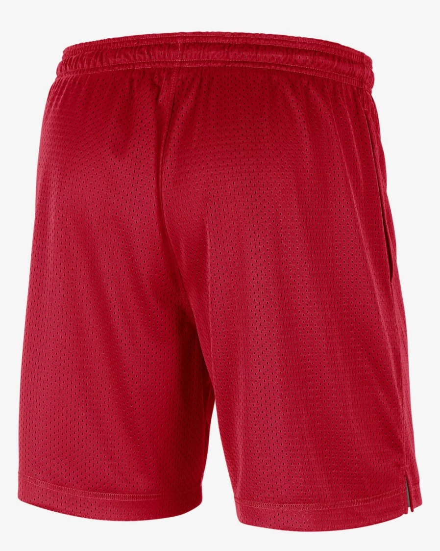 Nike Ohio State Men's Reversible Basketball Shorts - Dri-FIT, University Red/Dark Grey Heather